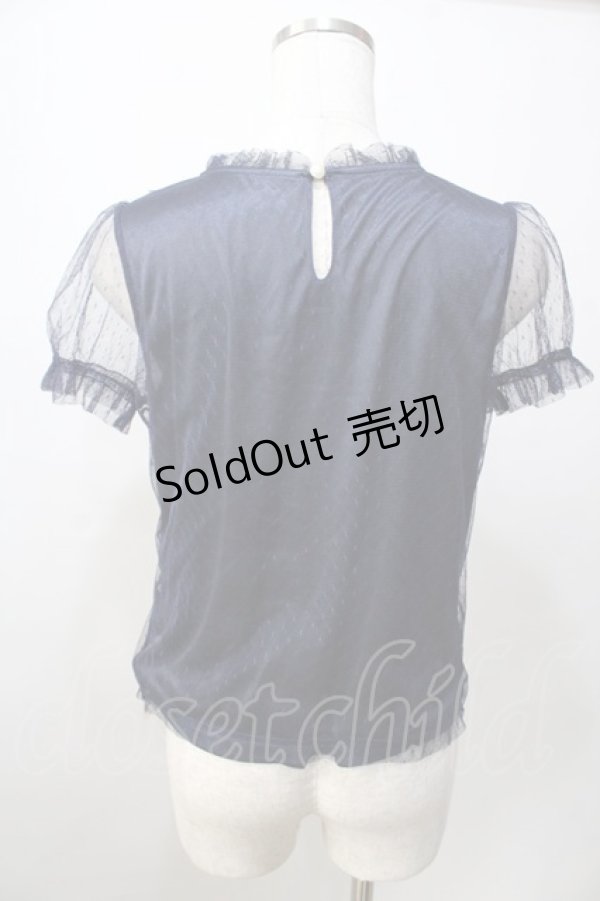 画像2: Ank Rouge / ワンポイント刺繍ドットチュールカットソー M コン Y-25-09-13-118-CA-TO-SZ-ZY (2)