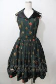 画像1: ATELIER PIERROT / Royal Crownベストワンピース  グリーン Y-25-09-13-121-EL-OP-SZ-ZY (1)