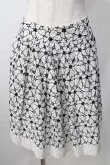 画像1: Jane Marple / フラワードットレースのスカート M ホワイト Y-25-09-13-135-JM-SK-SZ-ZT512 (1)