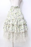 画像1: axes femme / フルールPTティアードスカート  生成り Y-25-09-16-083-AX-SK-SZ-ZT009 (1)