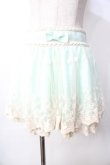 画像1: LIZ LISA / 刺繍レーススカート  ミント Y-25-09-22-129-LO-SK-SZ-ZT249 (1)
