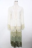 画像1: axes femme / グラデーションレースガウン  グリーン Y-25-10-03-109-AX-TO-SZ-ZI (1)