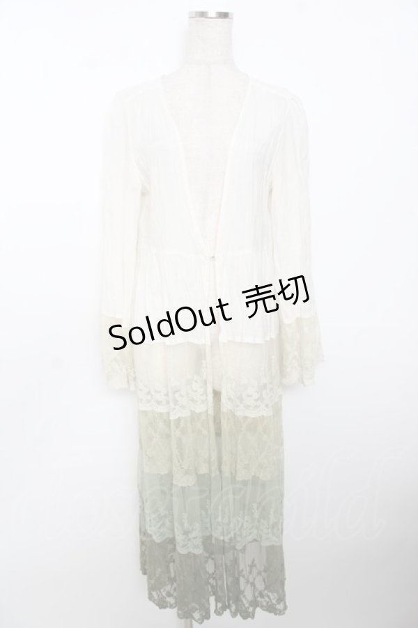 画像1: axes femme / グラデーションレースガウン  グリーン Y-25-10-03-109-AX-TO-SZ-ZI (1)