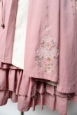 画像4: Ozz oneste / 霧蝶刺繍入り袴風プリーツスカート  ピンク Y-25-10-13-159-OO-SK-SZ-ZY (4)