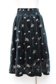 画像2: axes femme / 総刺繍ベロアスカート M Dグリーン Y-25-10-20-107-AX-SK-SZ-ZY (2)