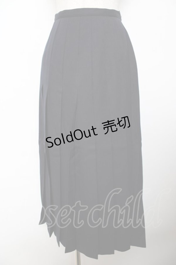 画像1: INGEBORG / プリーツロングスカート F 紺 Y-25-10-25-142-LO-SK-SZ-ZY (1)