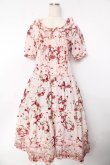 画像1: PINK HOUSE / ローズリースプリントワンピース F ピンク Y-25-10-31-066-LO-OP-SZ-ZY (1)