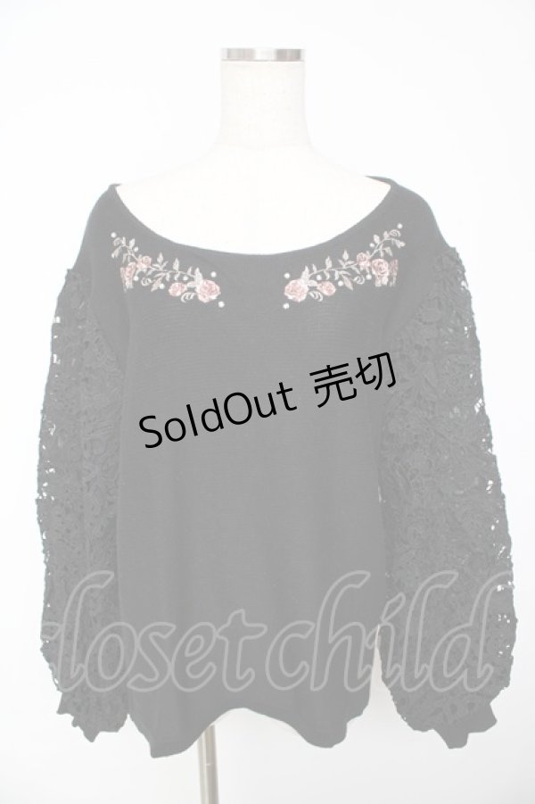 画像1: axes femme / 袖レース刺繍デザインニット L 黒 Y-25-11-01-055-AX-TO-SZ-ZY (1)