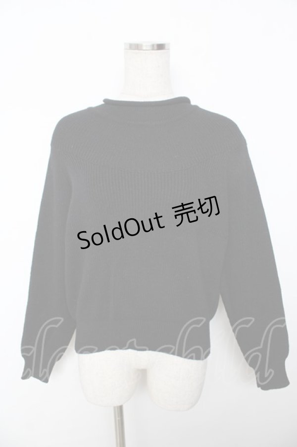 画像1: powder / ハイネックセーター F 黒 Y-25-11-30-111-LO-TO-SZ-ZY (1)