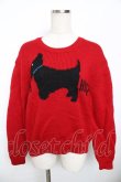 画像1: PINK HOUSE / テリアセーター F 赤 Y-25-11-30-152-LO-TO-SZ-ZY (1)