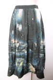 画像2: axes femme Nostalgic / 幻想街柄ロングスカート F グリーン Y-25-12-04-150-LO-SK-SZ-ZI (2)
