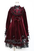 画像1: tale-bringer / ベロアワンピース  ワイン Y-25-12-05-138-LO-OP-SZ-ZY (1)