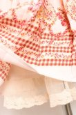 画像6: LIZ LISA / 花柄チェックワンピース 0 ピンク Y-25-12-08-022-LO-OP-SZ-ZY (6)