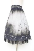画像2: abilletage / ヴィランズ柄シフォンスカート(ミディアム)  黒 Y-25-12-10-080-GO-SK-SZ-ZY (2)