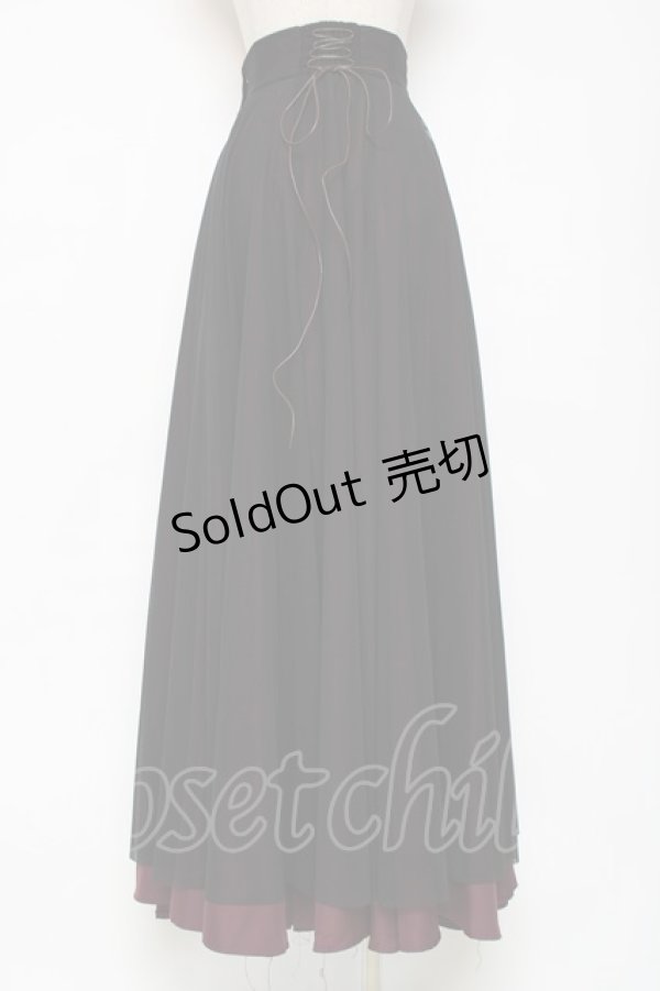 画像2: ATELIER BOZ / サンドラロングチュールスカート  黒 Y-25-12-11-079-EL-SK-AS-ZY (2)