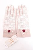 画像1: axes femme / リボンフィンガーレスグローブ  淡ピンク Y-25-12-11-004-AX-ZA-AS-ZY (1)