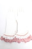 画像2: Hoshibako Works / 彩花磁　レース手袋  ピンク Y-25-12-12-053-LO-ZA-SZ-ZY (2)