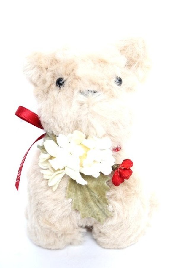 画像1: PINK HOUSE / テリアコサージュ   Y-25-12-12-067-LO-ZA-SZ-ZY (1)