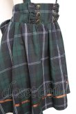 画像5: Amavel / サスペンダーチェックスカート M グリーン Y-25-12-13-108-CA-SK-SZ-ZY (5)