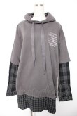 画像1: Candy Stripper / LOGO LAYERED HOODIE 2 グレー Y-25-12-23-109-PU-OP-SZ-ZY (1)