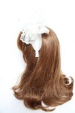 画像2: Angelic Pretty / Decorationチュールカチューシャ  白 Y-25-12-25-091-AP-AC-SZ-ZY (2)