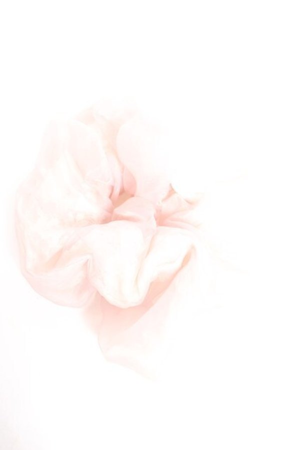 画像1: axes femme / オーガンジーBIGシュシュ   Y-26-01-05-009-AX-ZA-SZ-ZY (1)