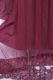 画像4: axes femme POETIQUE / チュールパーカーワンピース M ワイン Y-26-01-09-105-AX-OP-SZ-ZY (4)
