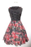 画像2: Sheglit / "Rose Garden"ワンピース  黒×赤 Y-26-01-22-116-EL-OP-SZ-ZY (2)