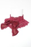 画像1: ATELIER PIERROT / Laced Graceチョーカー  ワイン Y-26-01-24-015-EL-AC-SZ-ZY (1)