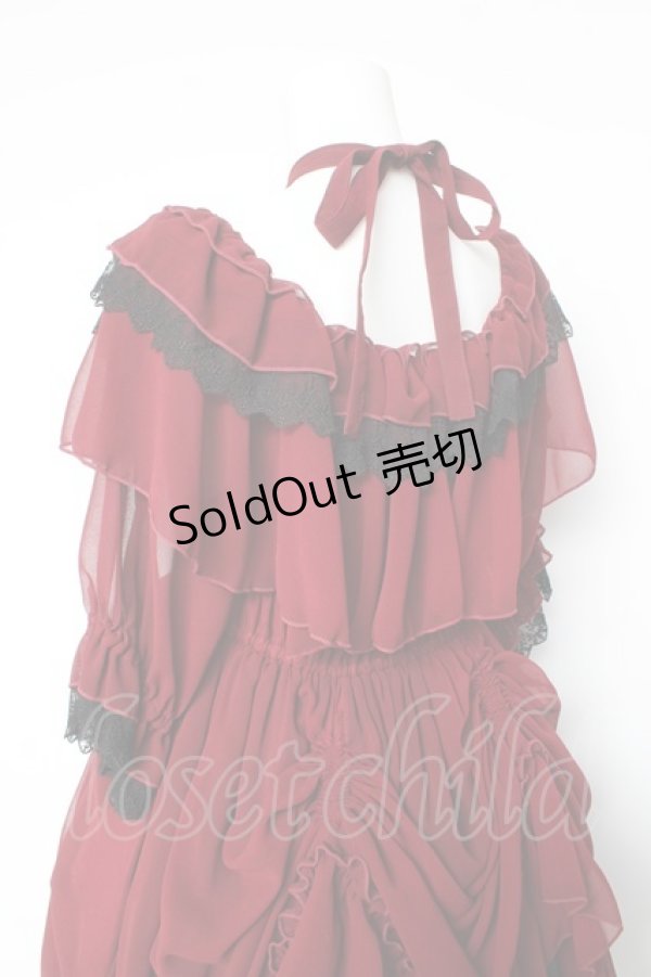 画像5: Vallee lys / Blessed Veil Dress  ワイン Y-26-01-24-133-GO-OP-SZ-ZY (5)