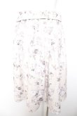 画像2: axes femme POETIQUE / 花柄プリントベルト付きスカート M 生成り Y-26-01-28-139-AX-SK-SZ-ZY (2)