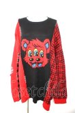 画像1: Candy Stripper / HILARIOUS BEAR KNIT  赤 Y-26-02-01-043-PU-TO-SZ-ZY (1)