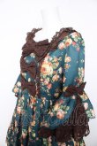 画像3: axes femme kawaii / アンティークローズ柄ワンピース M グリーン Y-26-02-05-091-AX-OP-SZ-ZY (3)
