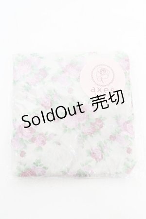 画像: axes femme / トラベルオーガナイザー   Y-26-02-05-022-AX-ZA-SZ-ZY