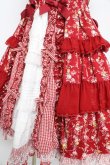 画像4: Angelic Pretty / Petit Bouquetジャンパースカート  赤 Y-26-02-09-135-AP-OP-SZ-ZY (4)