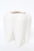 画像2: Q-pot. / TOOTH型　歯ブラシスタンド  ホワイト Y-26-02-13-025-QP-ZA-SZ-ZY (2)