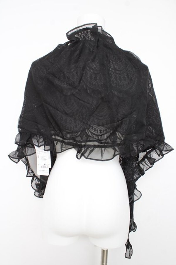画像2: axes femme / シフォン×レース重ねショール  クロ Y-26-02-15-157-AX-TO-SZ-ZY (2)