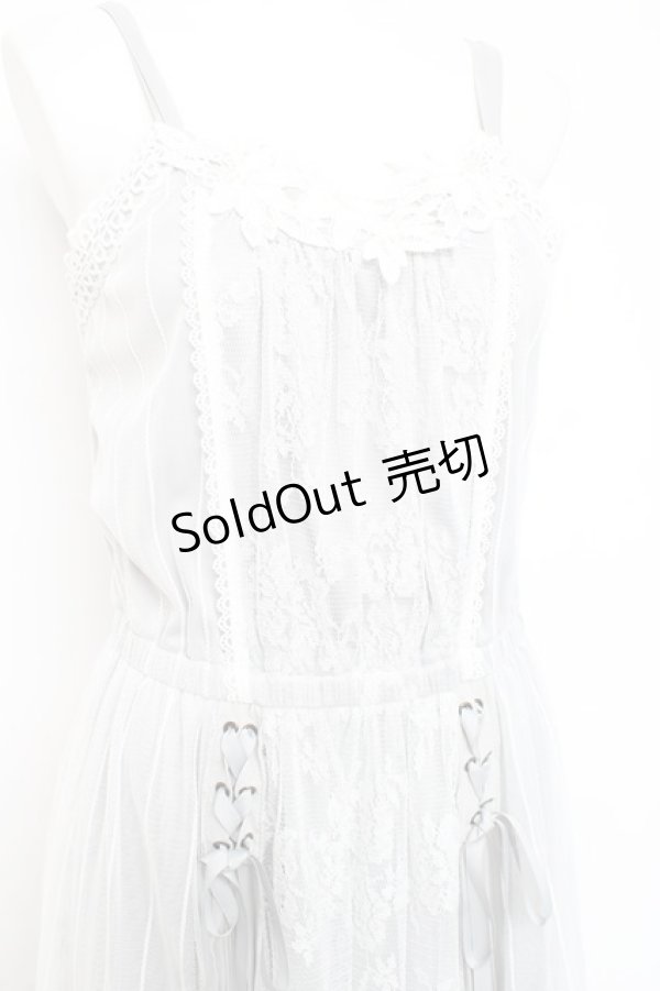 画像3: axes femme / レース×チュールキャミワンピース M グレー Y-26-02-17-090-AX-OP-SZ-ZY (3)