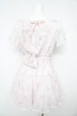 画像2: LIZ LISA / ローズリボンシフォンワンピース 0 ピンク Y-26-02-17-184-LO-OP-SZ-ZY (2)