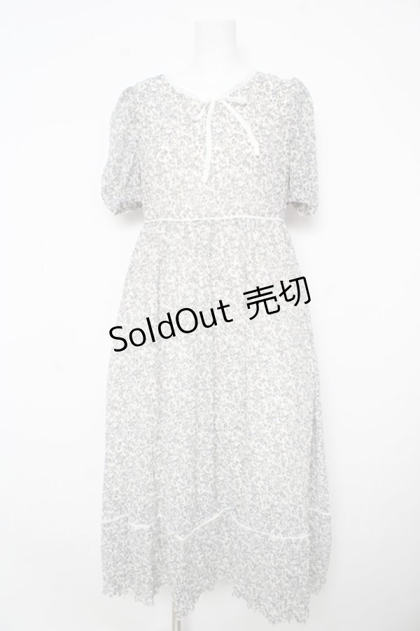 画像1: evelyn / フラワーロングパフ袖ワンピース F オフホワイト Y-26-02-17-195-LO-OP-SZ-ZY (1)