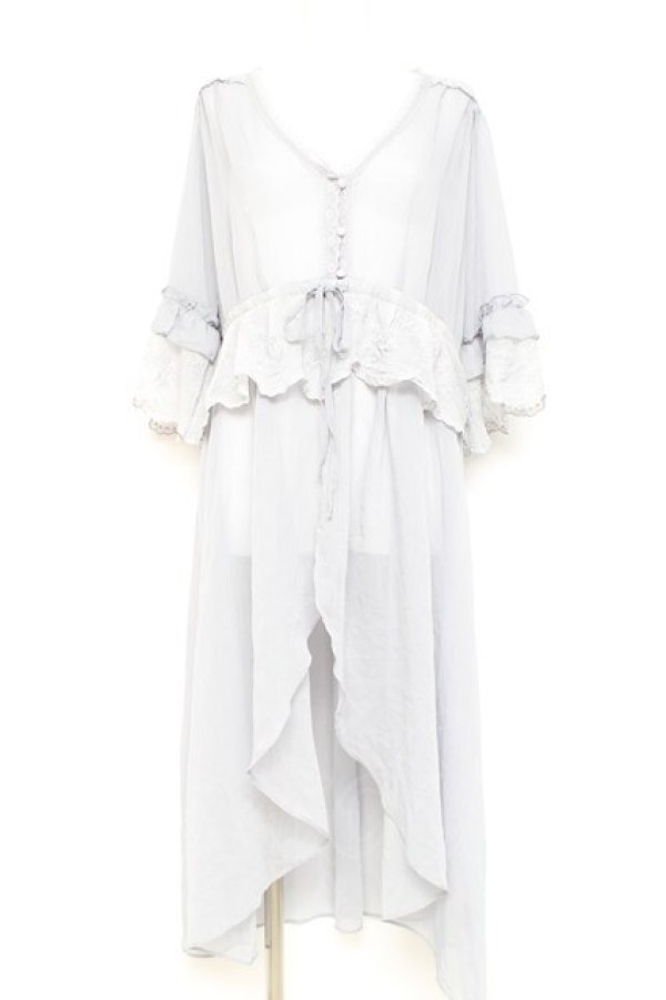 画像1: axes femme / シアーシフォンロングガウン F グレー Y-26-02-19-101-AX-TO-SZ-ZY (1)