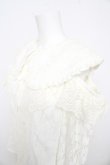 画像3: Swankiss / HS romantic lace B/L F ホワイト Y-26-02-21-046-CA-BL-SZ-ZY (3)