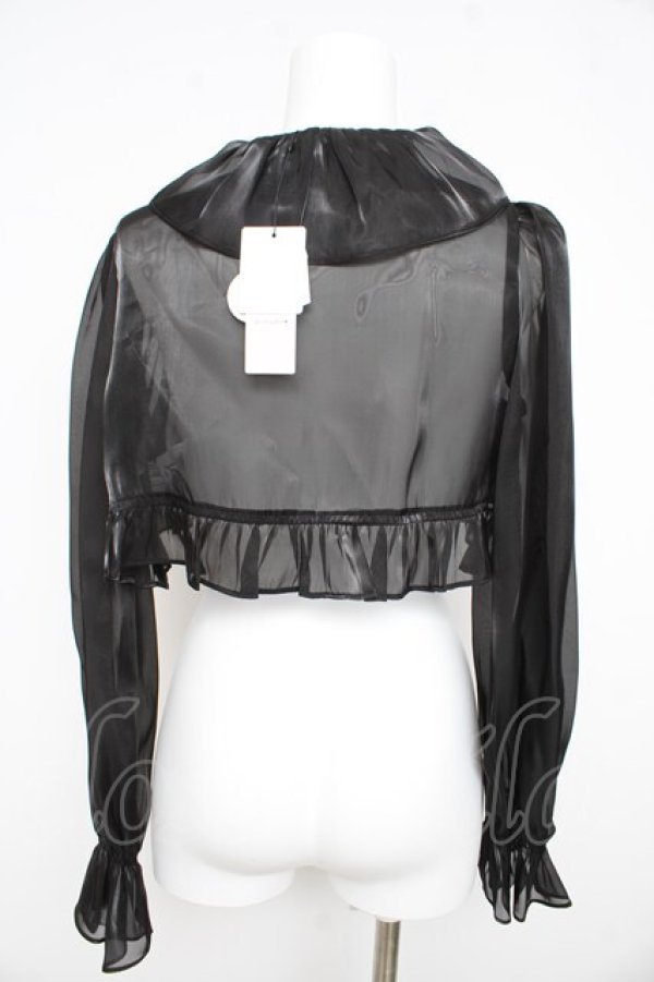 画像2: Ank Rouge / シアークロップドブラウス M 黒 Y-26-02-21-075-CA-BL-SZ-ZY (2)