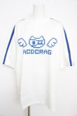 画像1: ACDC RAG / ドットネコ T  ホワイト×ブルー Y-26-02-21-091-PU-TS-SZ-ZY (1)