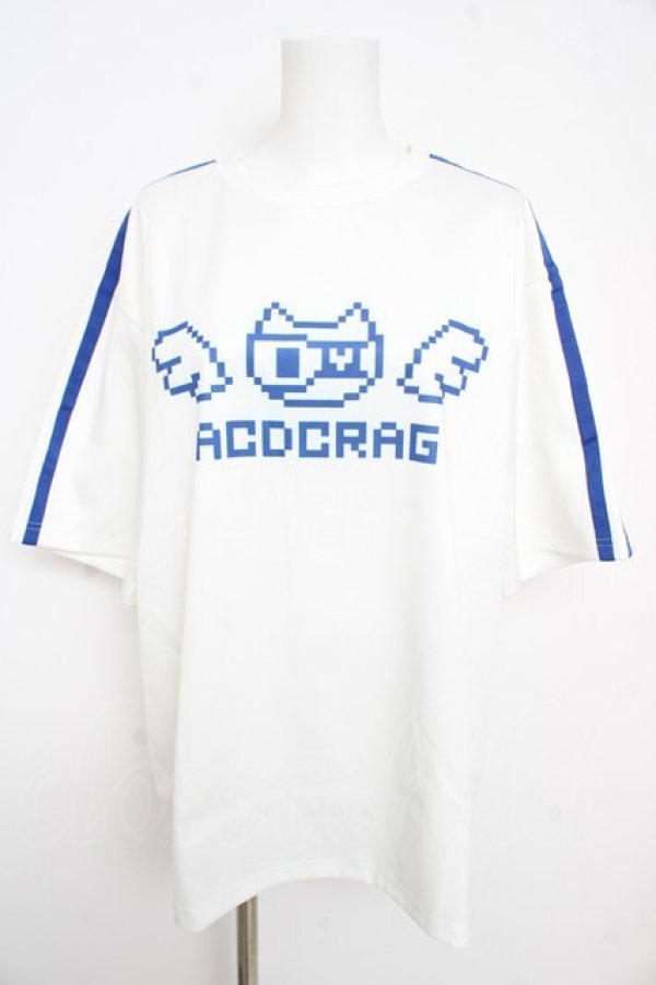 画像1: ACDC RAG / ドットネコ T  ホワイト×ブルー Y-26-02-21-091-PU-TS-SZ-ZY (1)