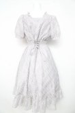 画像2: evelyn / シアーチェックコルセットワンピース F グレー Y-26-02-21-131-LO-OP-SZ-ZY (2)