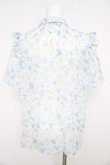 画像2: axes femme / 花柄フリルシアーブラウス  サックス Y-26-02-21-028-AX-BL-SZ-ZY (2)