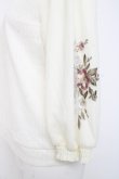 画像3: axes femme / 花刺繍チュール袖七分袖プルオーバー F オフシロ Y-26-02-23-058-AX-TO-IG-ZY (3)