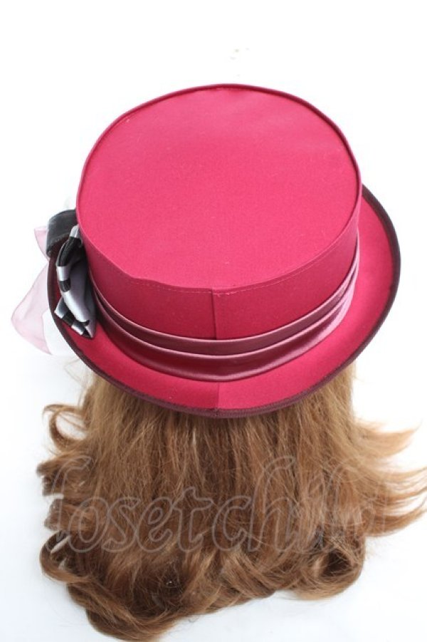 画像4: Coco&Ami / LOOK UP！(猫)  ワイン Y-26-02-23-025-LO-AC-SZ-ZY (4)