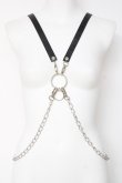 画像1: PUNK / チェーンリングハーネス  黒 Y-26-03-01-027-PU-ZA-SZ-ZY (1)
